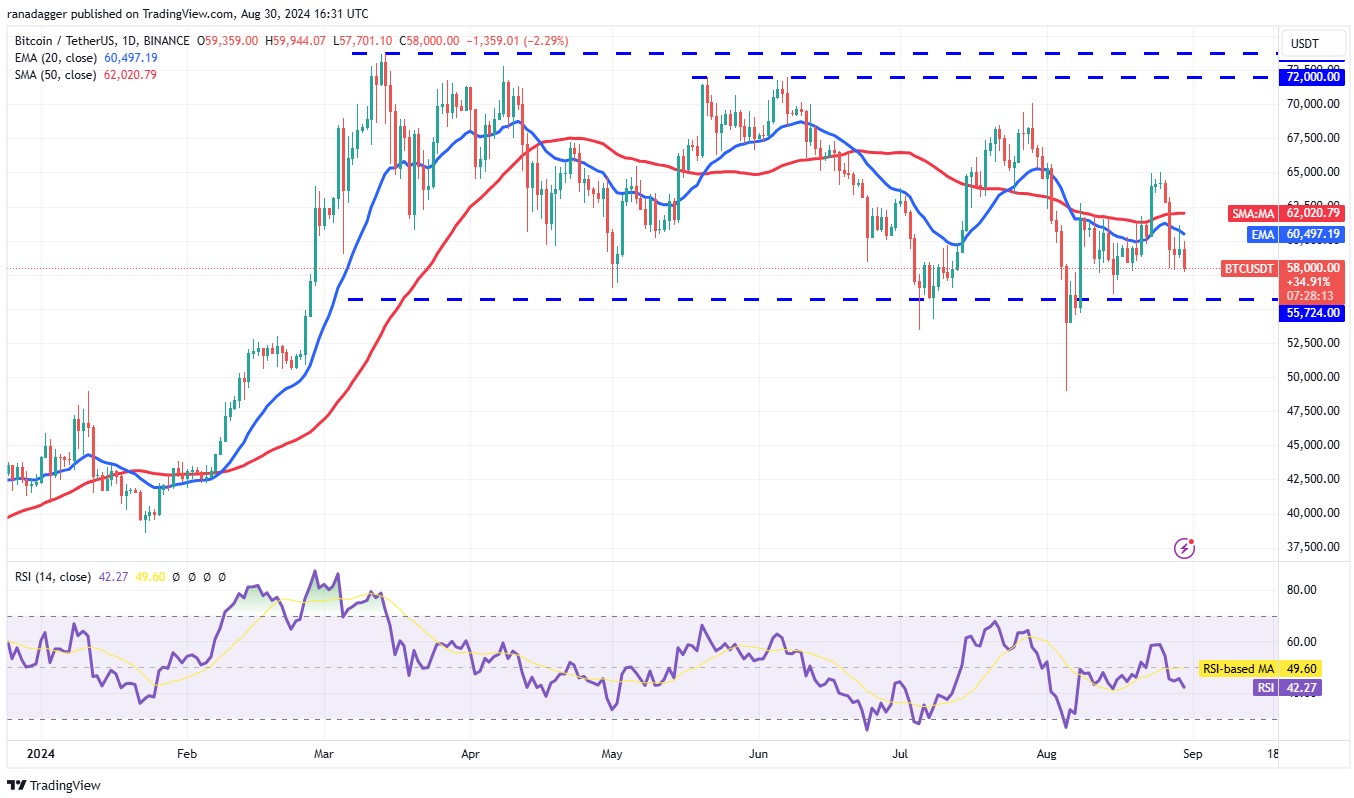 Biểu đồ hàng ngày BTCUSDT. Nguồn TradingView.