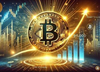 Bitcoin (BTC) và Dòng Vốn Lâu Dài Ổn Định Tương Lai Hay Không?