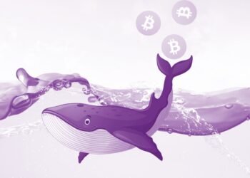 Crypto whale là gì?