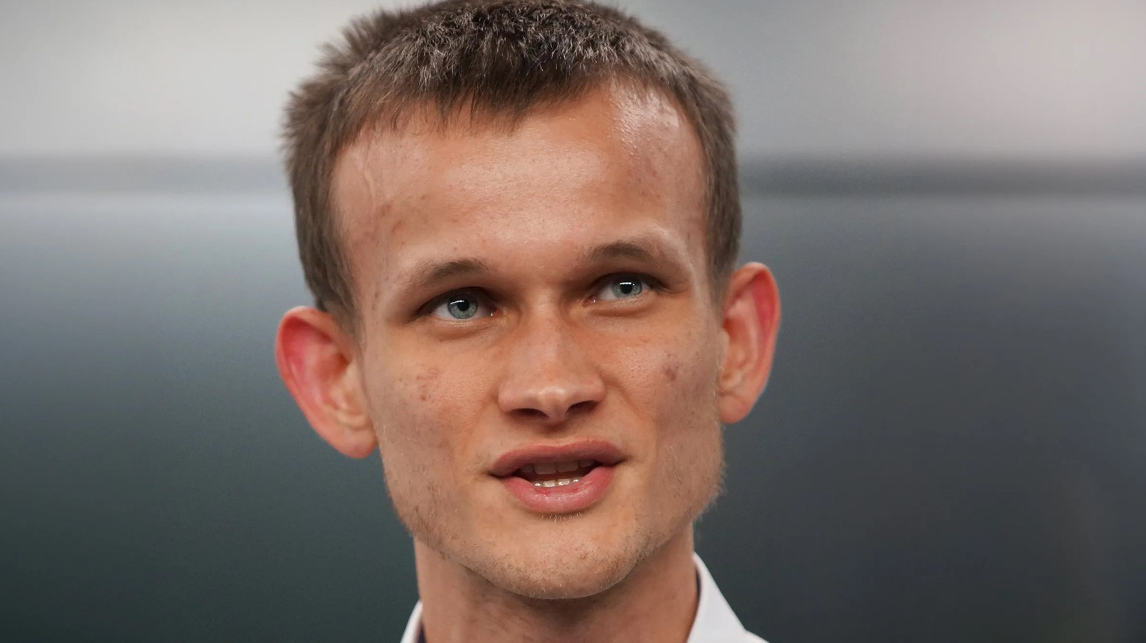 Người sáng lập Ethereum, Vitalik Buterin, quyên góp 500.000 USD từ các “Animal Coins” cho tổ chức từ thiện.