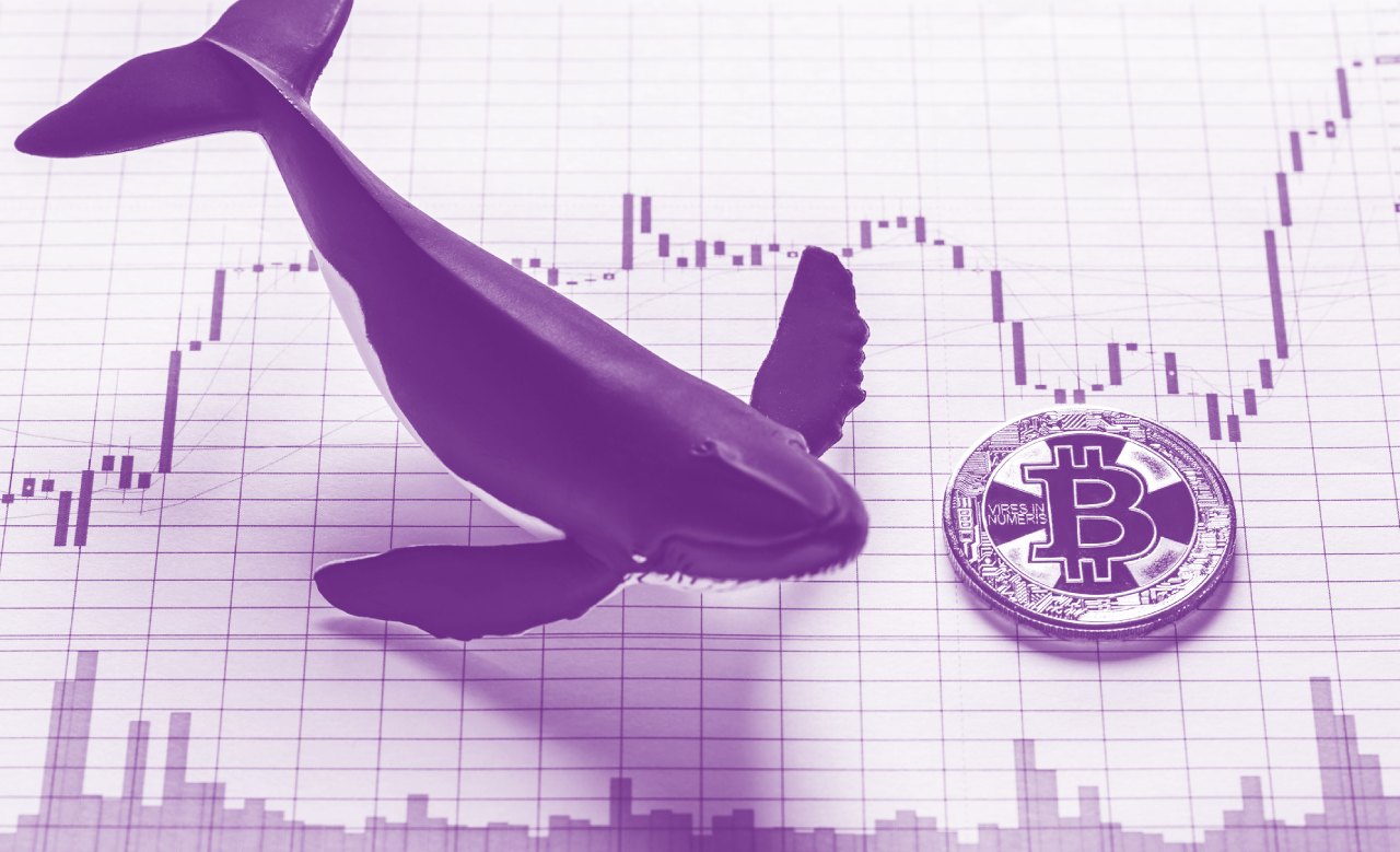 Tác động đến tính thanh khoản của Crypto whale